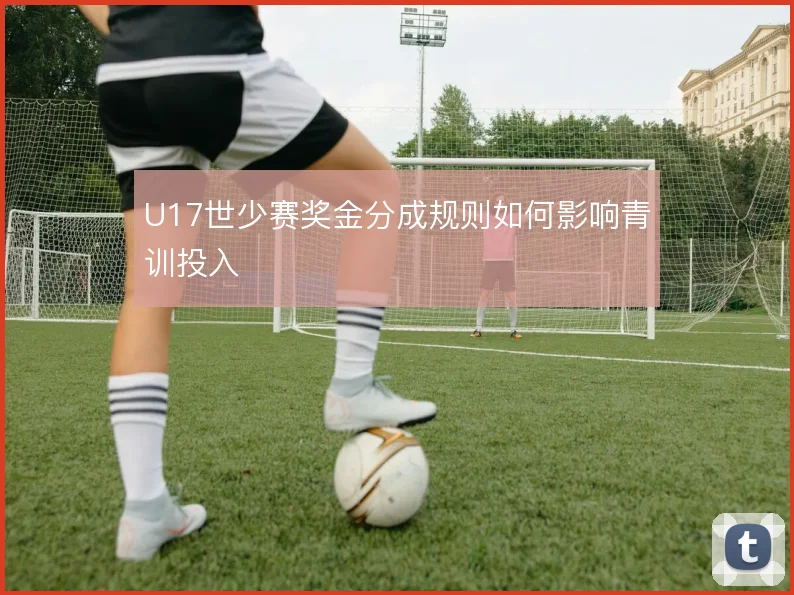 U17世少赛奖金分成规则如何影响青训投入