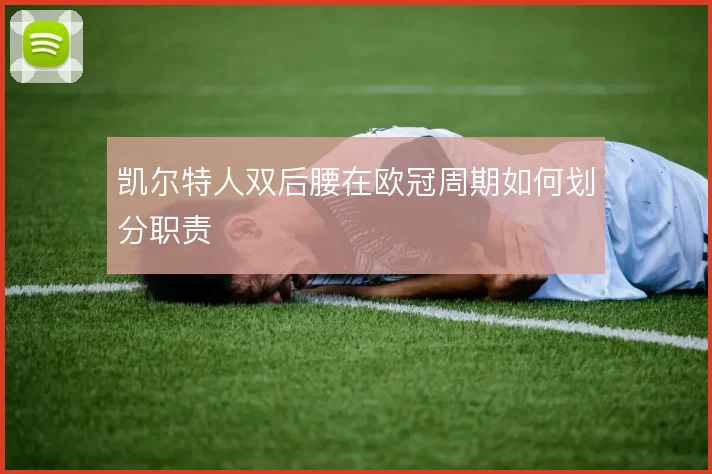 凯尔特人双后腰在欧冠周期如何划分职责