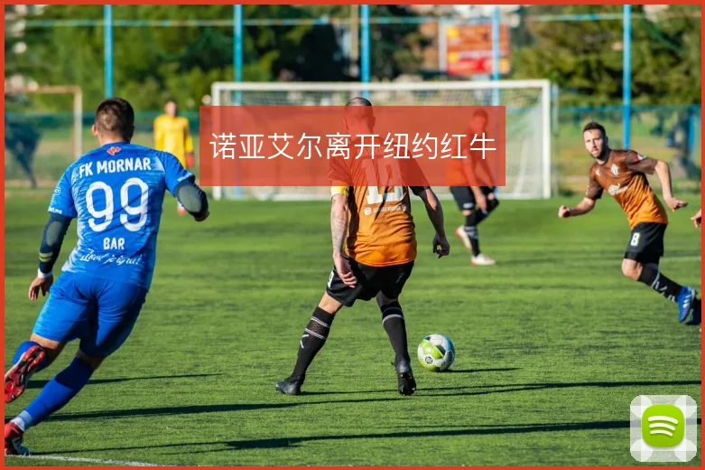 诺亚艾尔离开纽约红牛